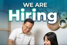 Daftar Sekarang, Lowongan Kerja BUMN Sucofindo untuk Posisi Chief Chemist, Cek Informasi Terbarunya