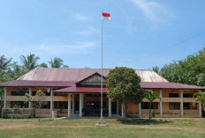 Camat Maje Purna Tugas, Anshari Plt Camat Maje