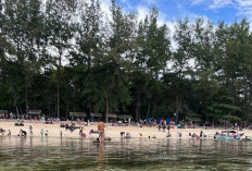 Libur Lebaran 1446 H, Wisata Kaur Ramai Dikunjungi Wisatawan, Berikut Penjelasannya 