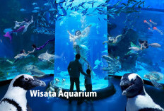 Wisata di Jakarta Lagi Hits: Ada Aquarium dan Safari, Paling Pas Buat Tahun Baru