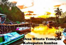 Desa Wisata Temajuk, Wisata Baharinya Bikin Gak Mau Pulang