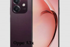 Empat Handphone Oppo Harga Rp 1 Juta Apa Saja, Berikut Jenisnya 