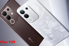 Vivo Y29 Guncang Pasar Smartphone,  Cocok Buat Pengguna Aktif,  Kecerahannya 1000 Nits