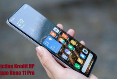 Simulasi Cicilan Kredit HP Oppo Reno 11 Pro, Berikut Panduan Cara Kreditnya di Kredivo!