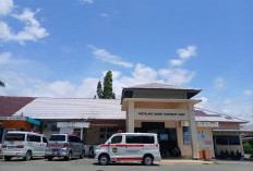 Beredar Isu Obat Kosong di RSUD HD Bengkulu Selatan, Bupati Rifai Langsung Turun Tangan Cek Gudang Farmasi