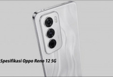 Spesifikasi Oppo Reno 12 5G, Menjadikannya Smartphone Canggih dengan Fitur Terbaru 2025