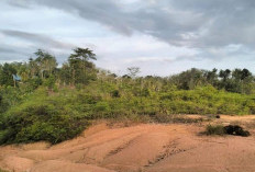 Desa Bukit Indah Siapkan Pengelolaan Lahan Desa untuk Tambah PADes