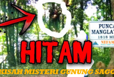 Kisah Misteri Gunung Sago, Ada Bayangan Hitam Menarii di Puncak Gunung, Begini Cerita Mistisnya!