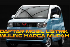 Mobil Listrik Makin Populer! Berikut Daftar Mobil Listrik Wuling Ramah di Kantong