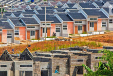 Beli Rumah Subsidi Pakai KPR Lewat Tapera Mobile Mudah dan Praktis, Begini Caranya!