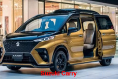 Suzuki Carry Minivan 2025 Banyak Peminatnya, Kapasitas Angkut Besar