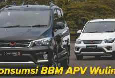 Konsumsi BBM APV Wuling Confero Irit atau Boros? Ini Penjelasan Detailnya