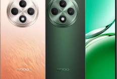 4 Ponsel Anjlok, OPPO Reno 12 F 5G Kini Makin Diburu
