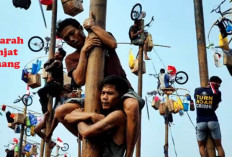 Mengenal Sejarah Panjat Pinang, Lomba Andalan Merayakan Semangat 17 Agustus