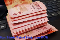 Tips Bisnis Pakai Pinjaman KUR, Simak di Sini Yuk! Dijamin Lancar!