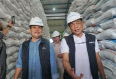 Tak Perlu Panic Buying, BULOG Kanwil   Bengkulu Jamin Ketersediaan Bahan Pokok 