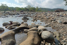 PKJK Temukan Kerusakan Sungai Kedurang,  Minta Pihak Tekait Segera Usut Galian C