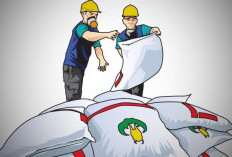 Petani Bengkulu Selatan Menjerit, Pupuk Subsidi Masih Langka, Swasembada Pangan Terancam 