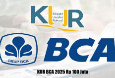 Cicilan Mulai Rp 1 Jutaan, KUR BCA 2025 Rp 100 Juta Jadi Favorit Pelaku Usaha!
