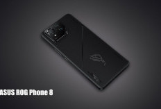 Kenapa ASUS ROG Phone 8 Pilihan Utama Gamer Pro? Simak Penjelasan Lengkapnya di Sini!