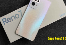 Mengupas Tuntas Keunggulan Kamera Oppo Reno7 Z 5G untuk Content Creator