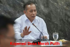 92 Koperasi Desa Merah Putih Siap Diluncurkan sebagai Proyek Percontohan Nasional