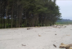 Potensi Besar, Lokasi Wisata Pantai   Muara Sekube Masih Minim Pengelolaan