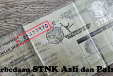 Jangan Sampai Tertipu! Ini 3 Perbedaan STNK Asli dan Palsu yang Wajib Diketahui