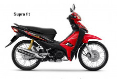 Honda Supra Fit Baru 2025 Performa Mesin yang Terbatas, Andalan Ojek Kebun Hingga Kini