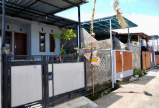 Ingin Usaha Ternak yang Tidak Berisik di Rumah Subsidi, Intip 6 Usaha Ini!