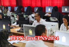 Jangan Sampai Salah, Berikut Ini Link Resmi Pendaftaran PPPK dan CPNS 2024, Lengkap dengan Jadwalnya