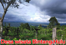 Desa Wisata Bintang Hulu, Surganya Para Penjelajah Alam