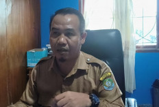 Tahun Ini, Pemda Kaur Ajukan Penerimaan CPNS, Segini Kuota Diusulkan 