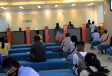 KUR BNI dan BRI Paling Diminati   Pelaku UMKM, Cek Penyebab Utamanya!