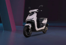 Ada Lho Motor Listrik Subsidi Tangguh Cocok untuk Para Kurir, Ini Daftar Lengkapnya