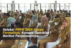 Seleksi PPPK 2024 Hanya Formalitas, Kenapa Demikian? Berikut Penjelasannya