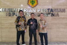Kunjungi Kementan  RI, Pemda Kaur Usulkan Optimasi Lahan Hingga JUT
