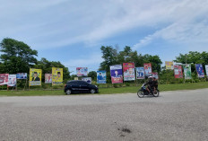 WOW! 3 Partai di Bengkulu Selatan Habiskan Dana Kampanye Ratusan Juta, Nasdem Tembus Rp 300 Juta
