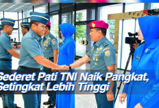 Sederet Pati TNI Naik Pangkat, Setingkat Lebih Tinggi