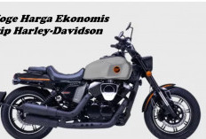 5 Moge Mirip Harley-Davidson dengan Harga Ekonomis, Adakah Produk Honda