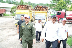Wagub Mian Naik Pitam Akibat Pencemaran Lingkungan dari Limbah Sawit di Bengkulu 