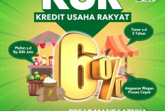 KUR Bank Bengkulu Untuk UMKM, Plafon Hingga Rp 500 Juta