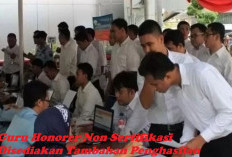 Guru Honorer Non Sertifikasi Disediakan Tambahan Penghasilan, Berikut Syarat dan Besaran Insentifnya