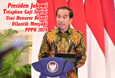 KABAR BAIK! Presiden Jokowi Tetapkan   Gaji PPPK Usai Dilantik Sebesar Ini