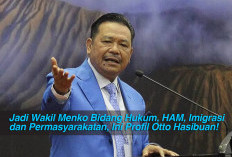 Jadi Wakil Menko Bidang Hukum, HAM, Imigrasi dan Permasyarakatan, Ini Profil Otto Hasibuan!