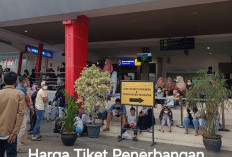 5 Penerbangan Bengkulu-Jakarta per Tanggal 1 Agustus, Segini Harga Tiketnya