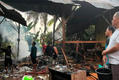 BREAKING NEWS! Meubel Maker Terbakar di Seginim, Damkar Bengkulu Selatan Atasi Api 10 Menit