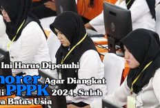 Syarat Ini Harus Dipenuhi Honorer Agar Diangkat Menjadi PPPK 2024, Salah Satunya Batas Usia