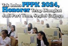 Tak Lulus PPPK 2024, Honorer Tetap Diangkat Jadi Part Time, Segini Gajinya