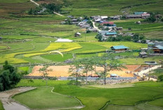 7 Daftar Desa Terkaya di Indonesia,  Satu Diantaranya Provinsi Ujung Sumatra